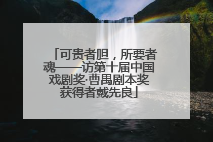 可贵者胆，所要者魂——访第十届中国戏剧奖·曹禺剧本奖获得者戴先良