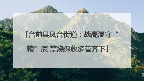 台前县凤台街道：战高温守“粮”辰 禁烧保收多管齐下