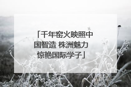 千年窑火映照中国智造 株洲魅力惊艳国际学子