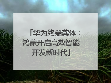 华为终端龚体：鸿蒙开启高效智能开发新时代