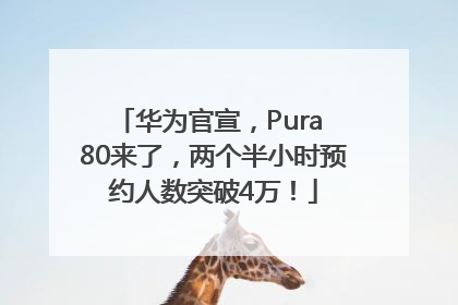 华为官宣，Pura 80来了，两个半小时预约人数突破4万！