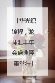 华光织锦程，龙环汇丰年会盛典隆重举行