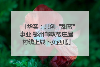 华容：共创“甜蜜”事业 鄂州邮政帮庄屋村线上线下卖西瓜