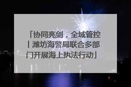 协同亮剑，全域管控丨潍坊海警局联合多部门开展海上执法行动