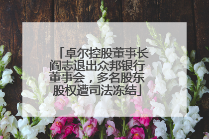 卓尔控股董事长阎志退出众邦银行董事会，多名股东股权遭司法冻结