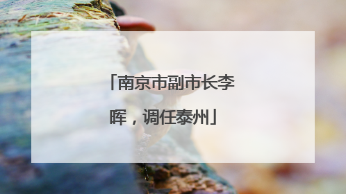 南京市副市长李晖，调任泰州