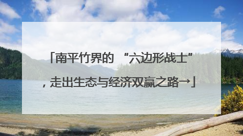 南平竹界的 “六边形战士”，走出生态与经济双赢之路→