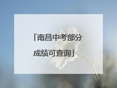 南昌中考部分成绩可查询