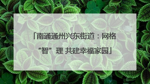 南通通州兴东街道：网格“智”理 共建幸福家园