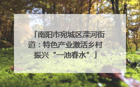 南阳市宛城区溧河街道：特色产业激活乡村振兴“一池春水”