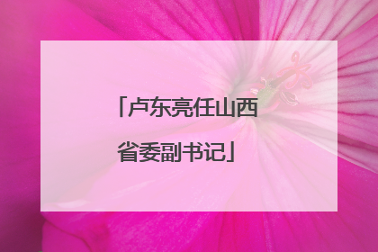 卢东亮任山西省委副书记