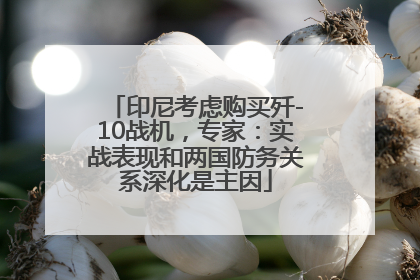 印尼考虑购买歼-10战机，专家：实战表现和两国防务关系深化是主因