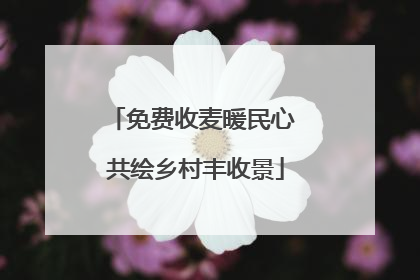 免费收麦暖民心 共绘乡村丰收景