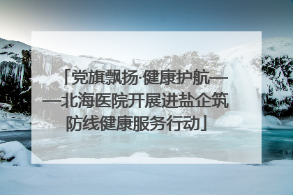 党旗飘扬·健康护航——北海医院开展进盐企筑防线健康服务行动