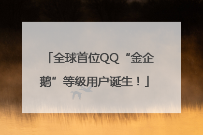 全球首位QQ“金企鹅”等级用户诞生！