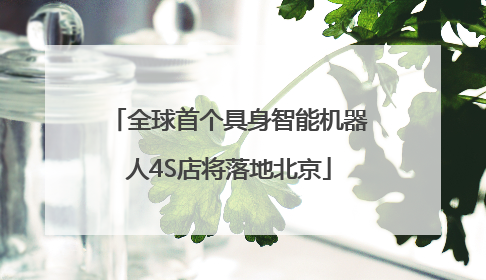 全球首个具身智能机器人4S店将落地北京