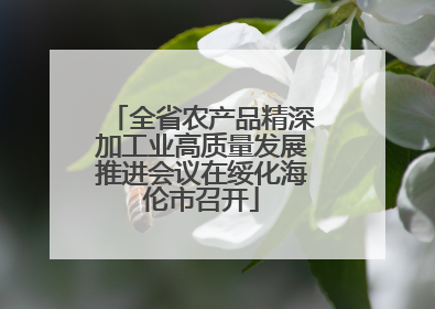 全省农产品精深加工业高质量发展推进会议在绥化海伦市召开