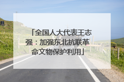 全国人大代表王志强：加强东北抗联革命文物保护利用