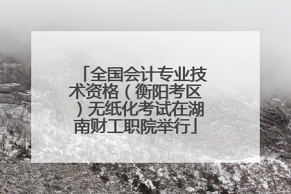 全国会计专业技术资格（衡阳考区）无纸化考试在湖南财工职院举行