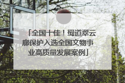 全国十佳！蜀道翠云廊保护入选全国文物事业高质量发展案例
