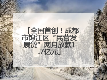 全国首创！成都市锦江区“民营发展贷”两月放款1.7亿元