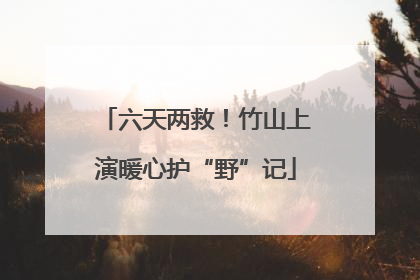 六天两救！竹山上演暖心护“野”记