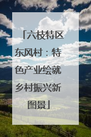 六枝特区东风村：特色产业绘就乡村振兴新图景