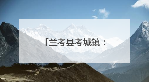 兰考县考城镇：全力备战“三夏”安全生产，确保小麦“丰收在仓”