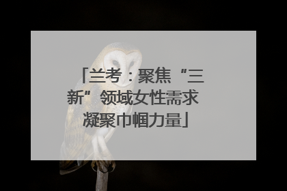 兰考：聚焦“三新”领域女性需求 凝聚巾帼力量