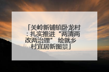 关岭新铺镇卧龙村：扎实推进“两清两改两治理” 绘就乡村宜居新图景