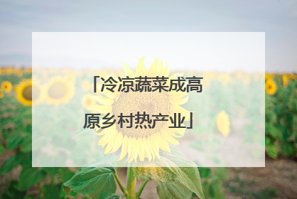 冷凉蔬菜成高原乡村热产业