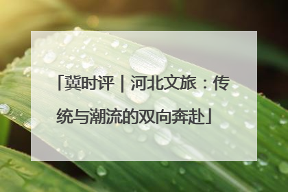 冀时评｜河北文旅：传统与潮流的双向奔赴