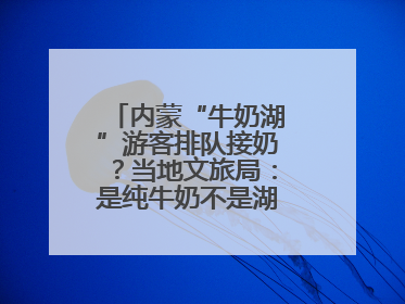 内蒙“牛奶湖”游客排队接奶？当地文旅局：是纯牛奶不是湖水，可放心喝