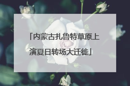 内蒙古扎鲁特草原上演夏日转场大迁徙