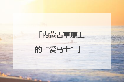 内蒙古草原上的“爱马士”