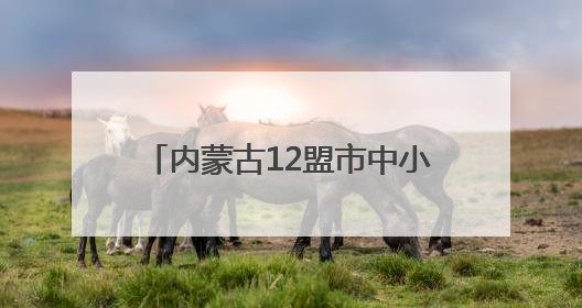 内蒙古12盟市中小学试点校集中展示校园足球课程建设成果