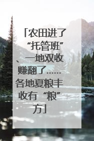 农田进了“托管班”、一地双收赚翻了……各地夏粮丰收有“粮”方