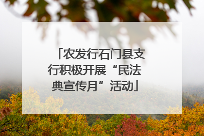 农发行石门县支行积极开展“民法典宣传月”活动