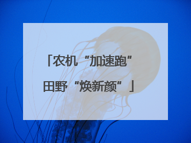 农机“加速跑” 田野“焕新颜”