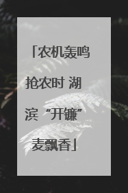 农机轰鸣抢农时 湖滨“开镰”麦飘香