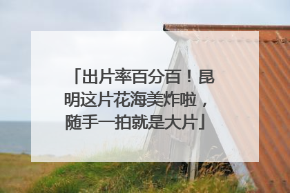 出片率百分百！昆明这片花海美炸啦，随手一拍就是大片