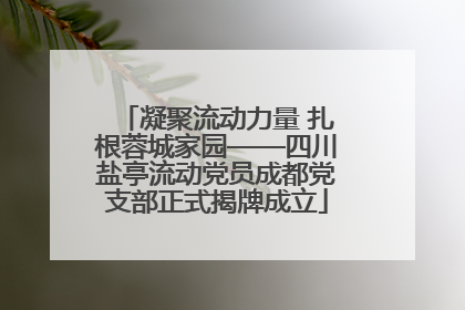 凝聚流动力量 扎根蓉城家园——四川盐亭流动党员成都党支部正式揭牌成立