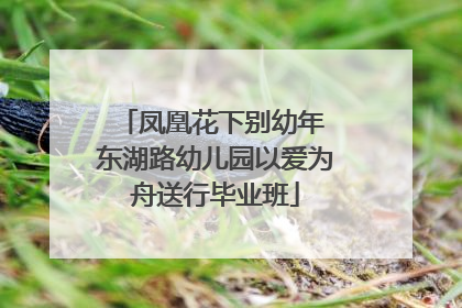 凤凰花下别幼年 东湖路幼儿园以爱为舟送行毕业班
