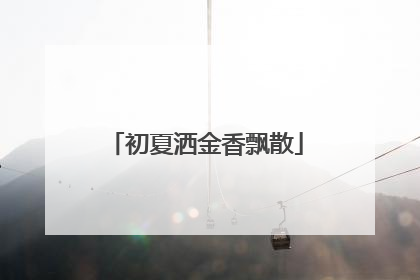 初夏洒金香飘散