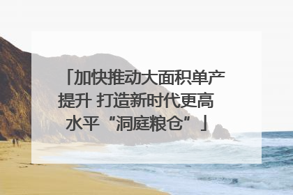加快推动大面积单产提升 打造新时代更高水平“洞庭粮仓”