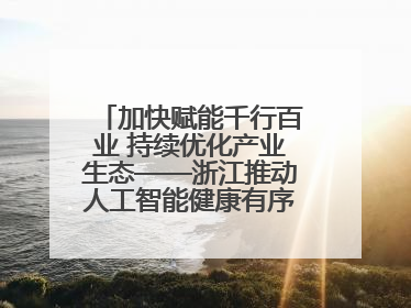 加快赋能千行百业 持续优化产业生态——浙江推动人工智能健康有序发展观察