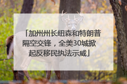 加州州长纽森和特朗普隔空交锋，全美30城掀起反移民执法示威