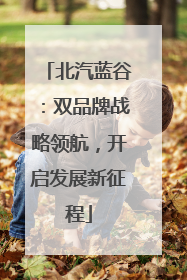 北汽蓝谷：双品牌战略领航，开启发展新征程