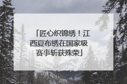 匠心织锦绣！江西夏布绣在国家级赛事斩获殊荣