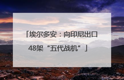 埃尔多安：向印尼出口48架“五代战机”